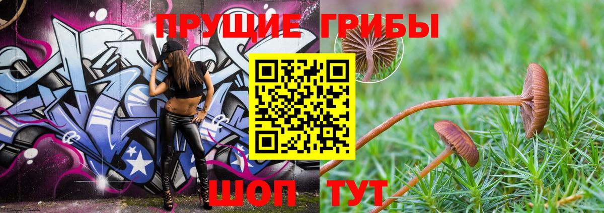 Псилоцибиновые грибы GOLDEN TEACHER Уварово